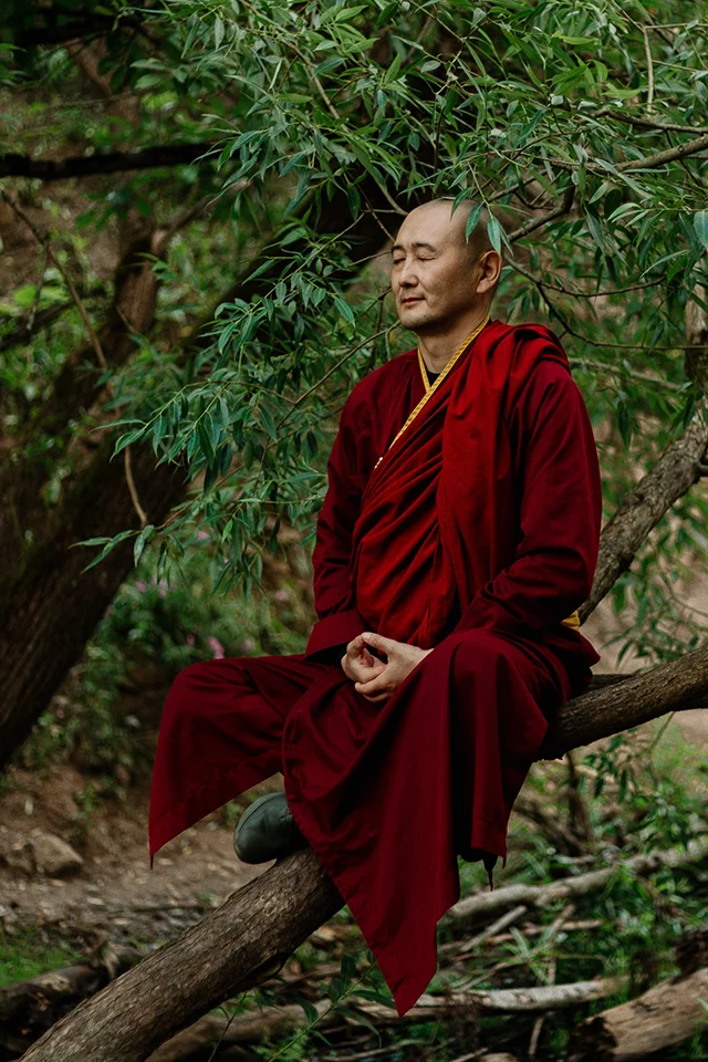 A monk in red robes sitting serenely on a tree branch with his eyes closed.